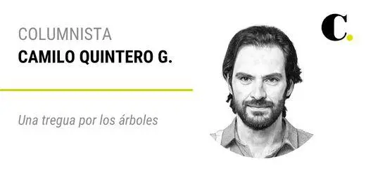 Una tregua por los árboles