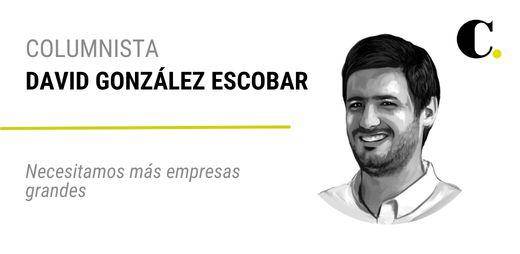Necesitamos más empresas grandes