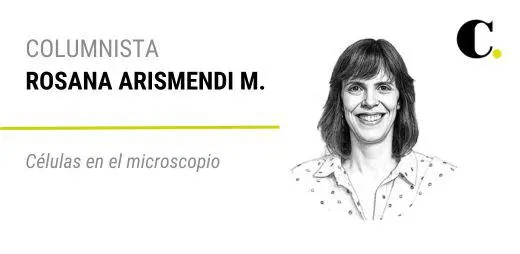 Células en el microscopio