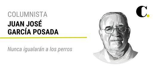 Nunca igualarán a los perros