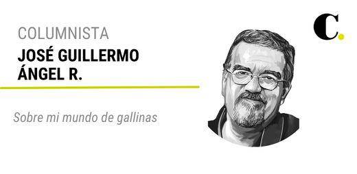 Sobre mi mundo de gallinas