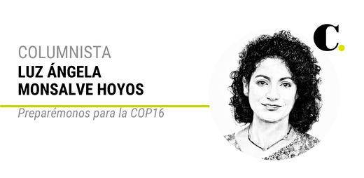 Preparémonos para la COP16