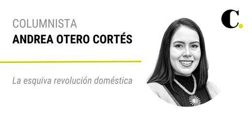 La esquiva revolución doméstica