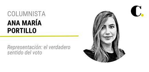 Representación: el verdadero sentido del voto