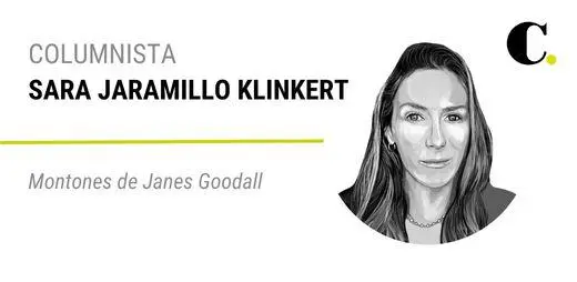 Montones de Janes Goodall