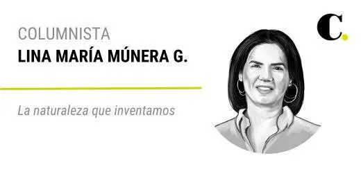 La naturaleza que inventamos