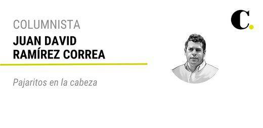 Pajaritos en la cabeza
