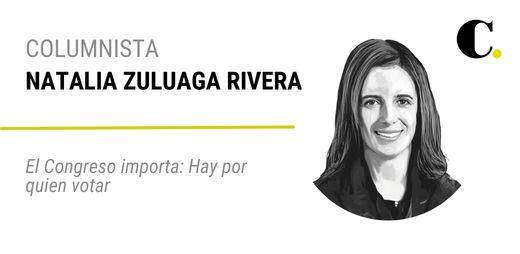 El Congreso importa: Hay por quien votar