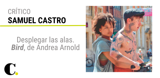 Desplegar las alas: Bird, de Andrea Arnold
