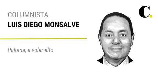 Paloma, a volar alto