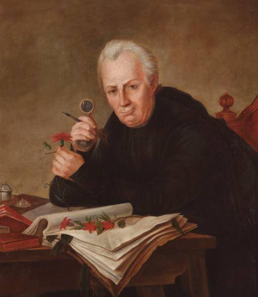 José Celestino Mutis llegó al país como médico. Foto: Real Jardín Botánico de Madrid.