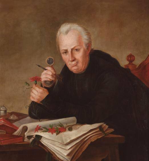 José Celestino Mutis llegó al país como médico. Foto: Real Jardín Botánico de Madrid.