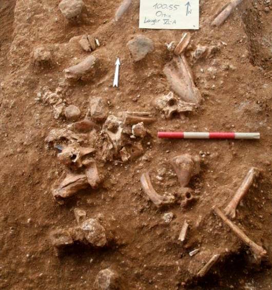Hallan grupo humano que pudo originar a los neandertales