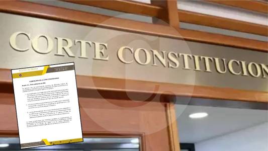 Corte Constitucional defiende sus decisiones tras mención de Vladimir...