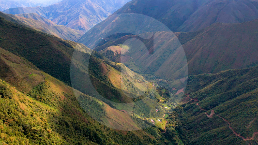 Antioquia estrena área protegida: está en el Occidente y es hogar del águila crestada y el oso andino