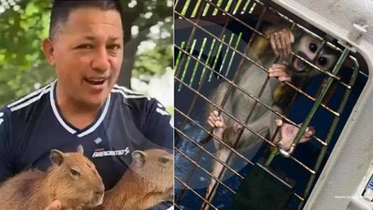 Envían a la cárcel a influencer señalado de mantener en condiciones deplorables a varios animales silvestres en Putumayo