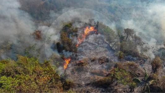 Emergencia por incendios forestales: seis focos permanecen activos en tres departamentos