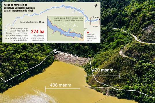 EPM planea culminar en septiembre la poda de la zona inundable y aprovechar la temporada de lluvias para llevar el embalse de Hidroituango a la cota 420 en noviembre. FOTO CORTESÍA EPM