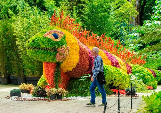Cientos de asistentes disfrutan de la variada programación cultural y artística de la Feria de las Flores en diferentes puntos de Medellín. FOTO Camilo Suárez