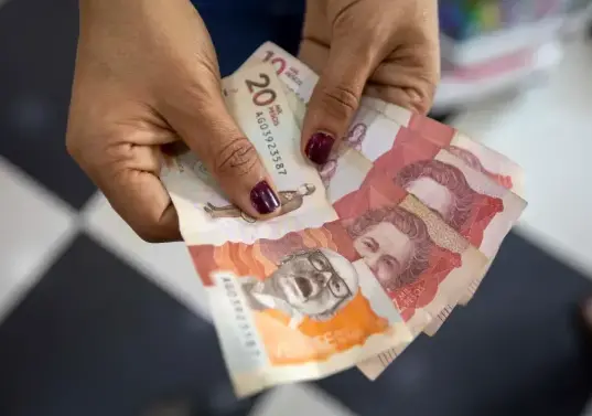 En calidad de medida cautelar, el Consejo de Estado ordenó a las entidades demandadas que, en un plazo máximo de ocho días calendario contados desde la notificación de la providencia, expidan y publiquen un nuevo decreto. Foto: Archivo