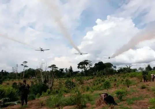 El gobierno de Gustavo Petro había prometido en campaña que no habría fumigación aérea con glifosato. Foto: Policía