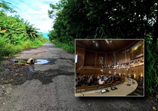 Este martes, la Asamblea aprobó el Proyecto de Ordenanza 37, que aprobó construir cuatro vías con el mecanismo de valorización. FOTO: Cortesía y El Colombiano