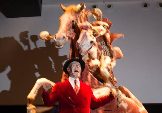 El creador de Body Worlds murió a los 81 años: su cuerpo será plastinado como él mismo lo decidió. FOTO: AFP