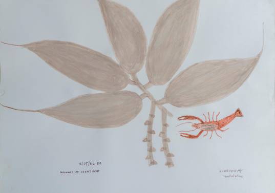 Abel Rodríguez es uno de los artistas modernos que conversan con los dibujos de hace 207 años. Fotos: cortesía Jardín Botánico de Medellín.