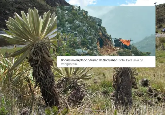 El páramo de Santurbán es un ecosistema estratégico para Santander y Norte de Santander por su aporte al abastecimiento de agua de millones de habitantes. FOTO: Colprensa y Vanguardia