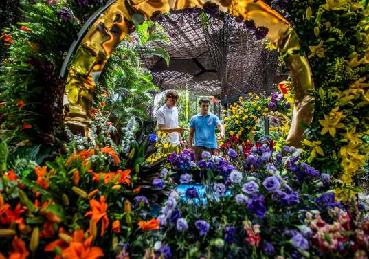 Uno de los planes es ir a Florecer en el Jardín Botánico. FOTO: Julio César Herrera.