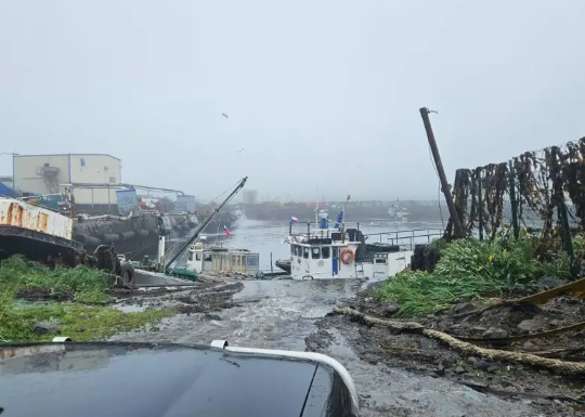 El terremoto en Rusia ya se sitúa entre los más poderosos de las últimas décadas, comparable con los eventos de 1952 y 1923 ocurridos en la misma región. Foto, Redes Sociales. 