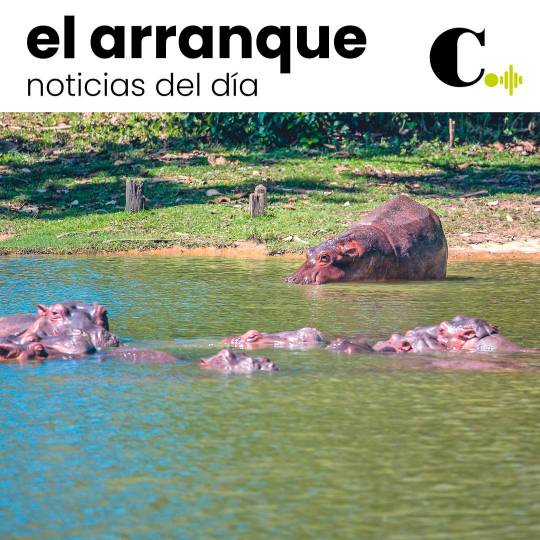 Diez hipopótamos de Nápoles serán embarcados hacia México