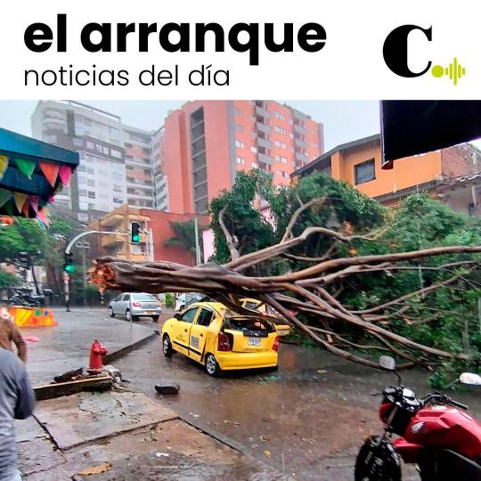 En 2023 van 107 árboles caídos en Medellín, ¿quién responde?