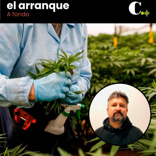 Este año no fue el del cannabis, ¿el otro sí?