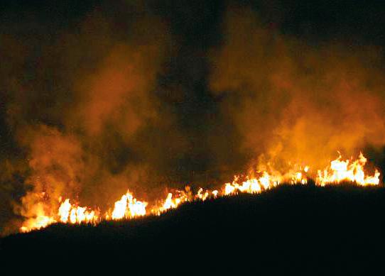 El ‘Súper Niño’ se acerca y el 35% de Antioquia está en alto riesgo ante incendios forestales