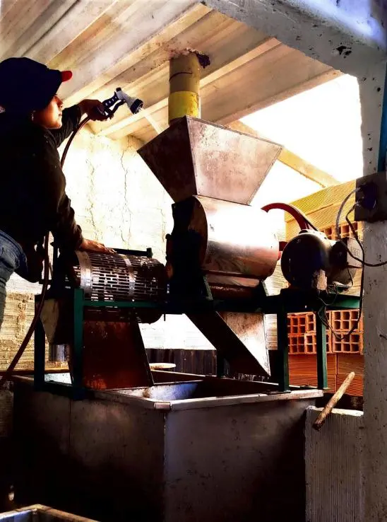 Microempresas de Antioquia aumentan ventas hasta 164% gracias a modelo de Interactuar. FOTO: Cortesía.