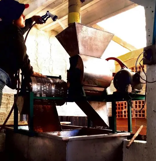 Microempresas de Antioquia aumentan ventas hasta 164% gracias a modelo de Interactuar. FOTO: Cortesía.