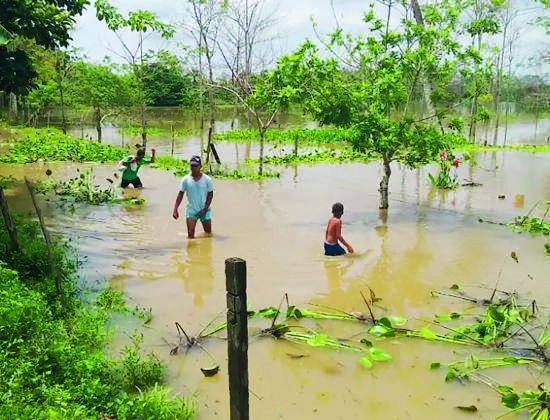 El Urabá sigue sufriendo los embates de la naturaleza. Allí las inundaciones mantienen anegado parte de la subregión. FOTO: imagen tomada de redes.