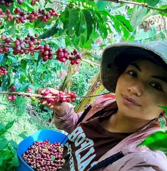 Cuando se habla de sostenibilidad económica en Colombia, es imposible no mirar hacia las microempresas, que representan el 96% del tejido empresarial del país. Son las que siembran, arreglan, hornean, innovan y abren sus puertas todos los días sin garantías, pero con coraje.