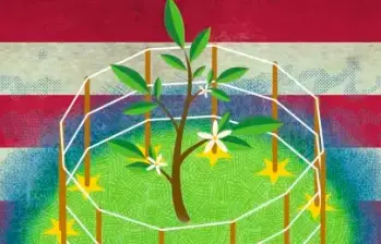 La COP30 se celebrará en noviembre en Belém do Pará, Brasil, y marcará una década desde el Acuerdo de París, el pacto que definió la ruta mundial contra el cambio climático. ILUSTRACIÓN Esteban París 