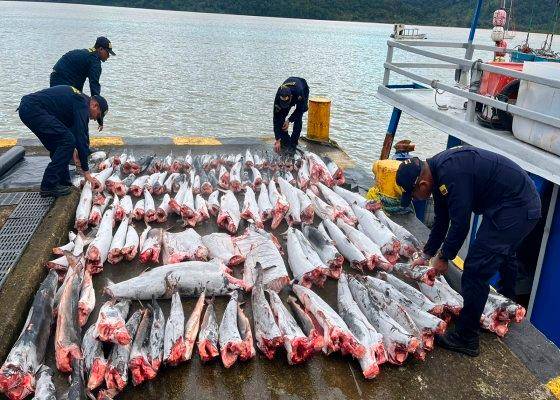 Durante 2022 la Armada ha incautado 7.4 toneladas de especies cuya pesca está prohibida. FOTO ARMADA NACIONAL 