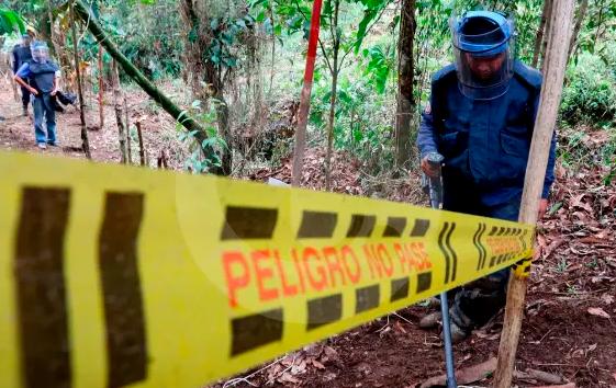 La petición es que se desplace personal especializado a hacer un diagnóstico y capacitar a la comunidad para prevenir. FOTO: JULIO CÉSAR HERRERA