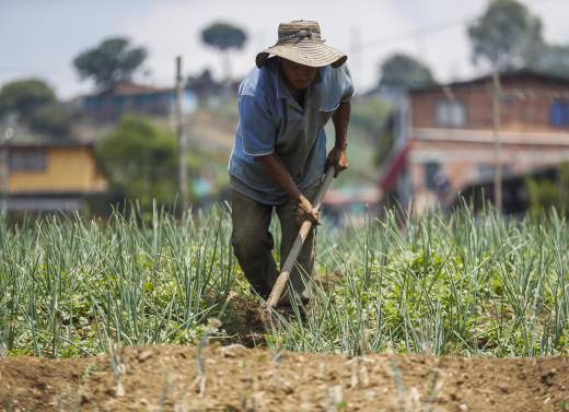 Bogr Se agrava la protesta agraria: paperos y cacaoteros se unen a arroceros ...
