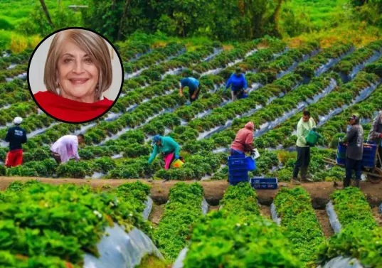 Todo no está acabado. Luego de que se posesione el nuevo Congreso, se buscará de nuevo aprobar el proyecto de ley. Para este texto, EL COLOMBIANO consultó a la exministra de Agricultura, Cecilia López. FOTO<b> Camilo Suárez</b> 
