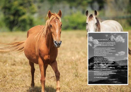 Una niña de 4 años murió en un establecimiento ubicado en Palmira, Valle, mientras daba un paseo en caballo guiado a través de un instructor. Fotos: Andrés Camilo Suárez Echeverry y @latinajacali