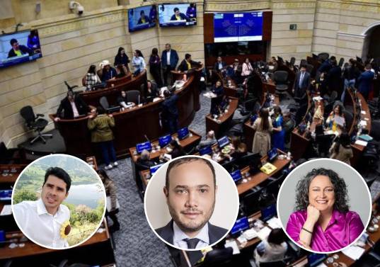 El último año fue en el que menos proyectos se aprobaron. Foto: Cristian Bayona. Colprensa - Congreso Visible
