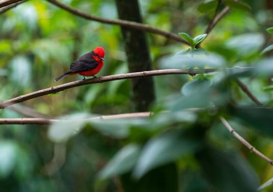 Hay que entender que se está en un mundo en el que todo está interconectado. Foto: Archivo.