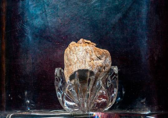 <p>Urna con el corazón embalsamado de Marco Antonio Ochoa. Foto: Cortesía Museo Universitario.</p><p></p><p>Vista de la plazoleta central de la UdeA en 1977. Foto: Cortesía Museo Universitario.</p>