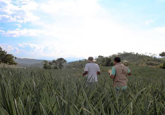 Colombia tiene más de tres décadas de retraso en el avalúo catastral, por eso este año empezaron nuevos cobros que desataron protestas en el país. Foto: Colprensa