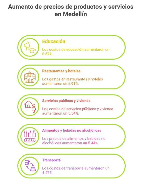 InfogrÃ¡fico